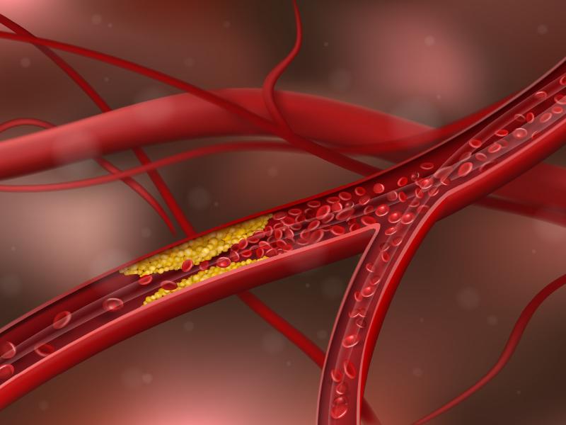 Blood vessels 
